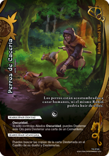Cargar imagen en el visor de la galería, Mazo Literatura - Robin Hood