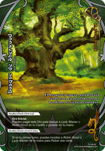 Cargar imagen en el visor de la galería, Mazo Literatura - Robin Hood
